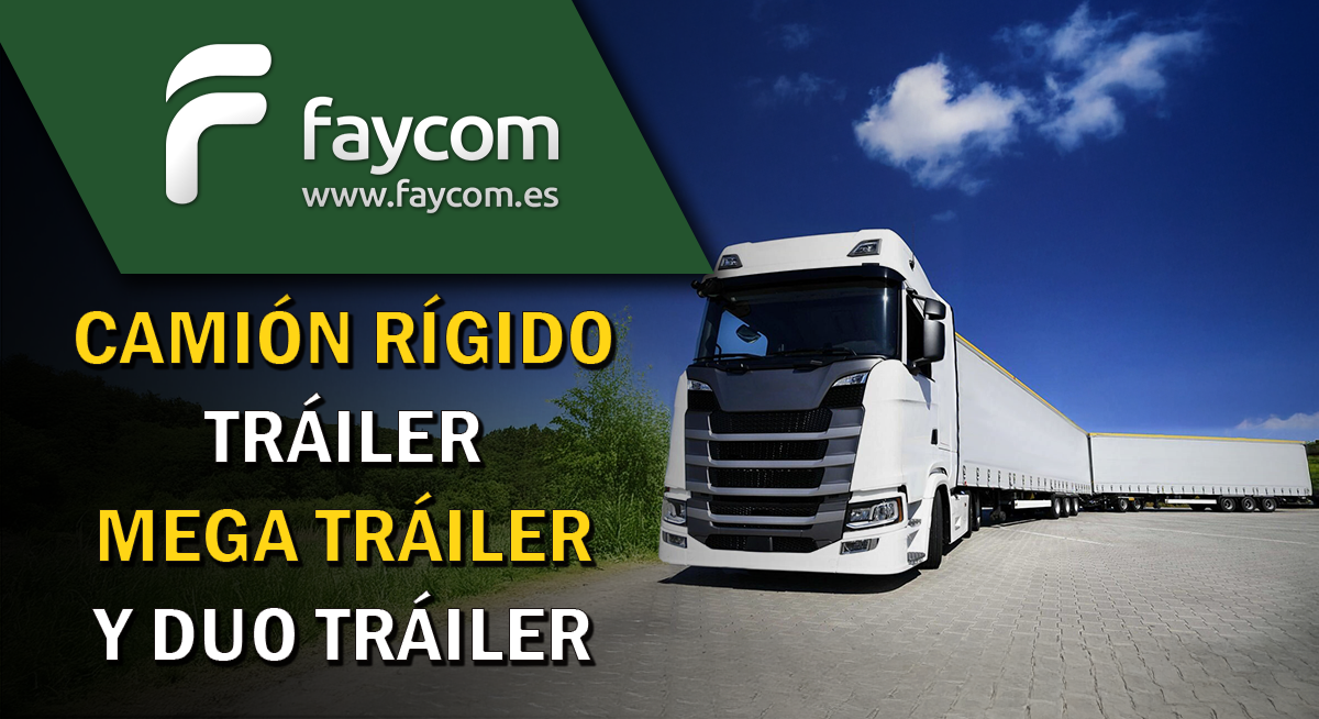 Camión Rígido, Trailer, Mega Trailer y Duo Trailer.